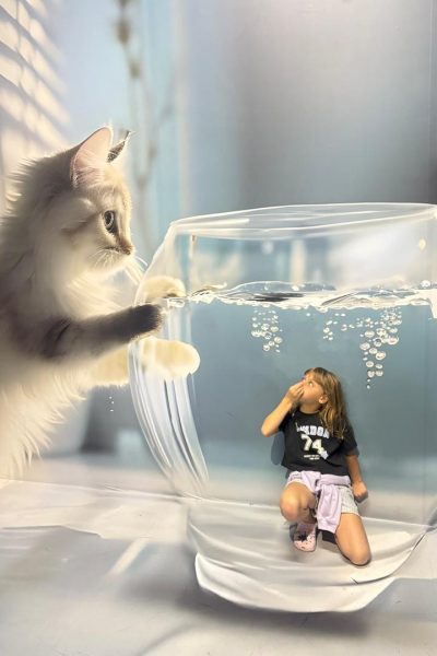 Gastronomia e Passeios em São Paulo em Julho de 2025 - Mundi Travel Turismo (5)