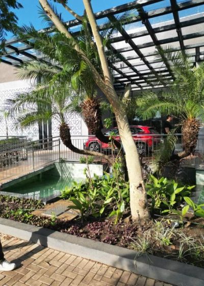 Jalapão Extraordinário Excursão da Mundi Travel Turismo (2)