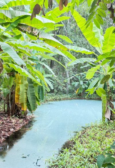 Jalapão Extraordinário Excursão da Mundi Travel Turismo (3)