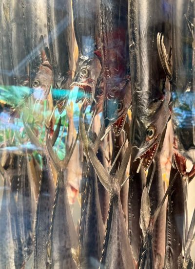 Mundi Travel turismo na ABAV Expo 2025 – Rio de Janeiro - blog4