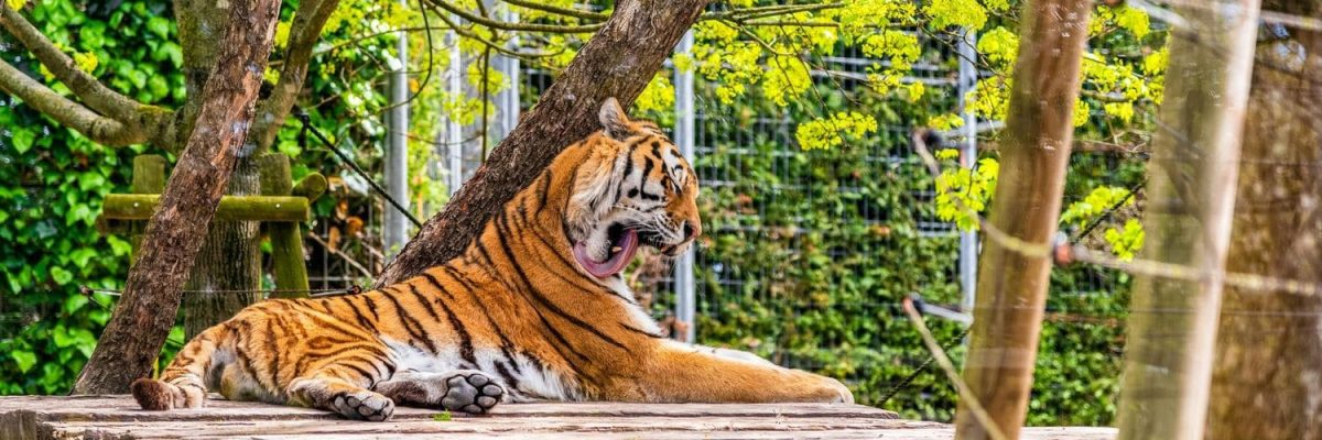 dicas de passeio e gastronomia em sao paulo - mundi travel turismo (3)