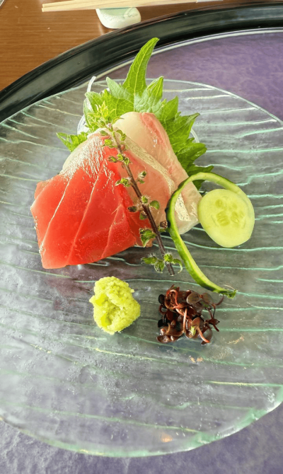 viagem tokyo japão mundi travel (1)