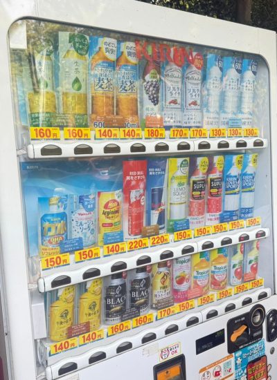 viagem tokyo japão mundi travel (10)