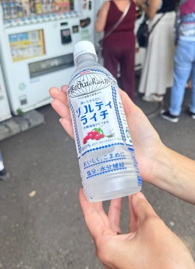 viagem tokyo japão mundi travel (11)