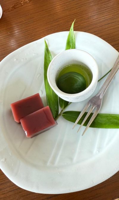 viagem tokyo japão mundi travel (26)