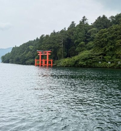 viagem tokyo japão mundi travel (28)